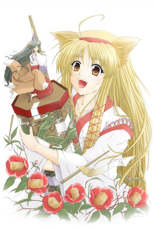 �ώ��ޏ�����B�������������N��B